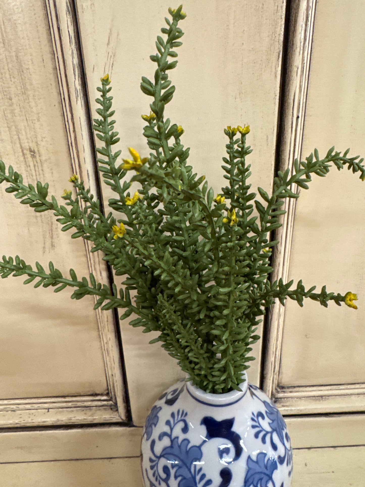 13' CRASSULA PICK W/GREEN W/YELLOW TIP