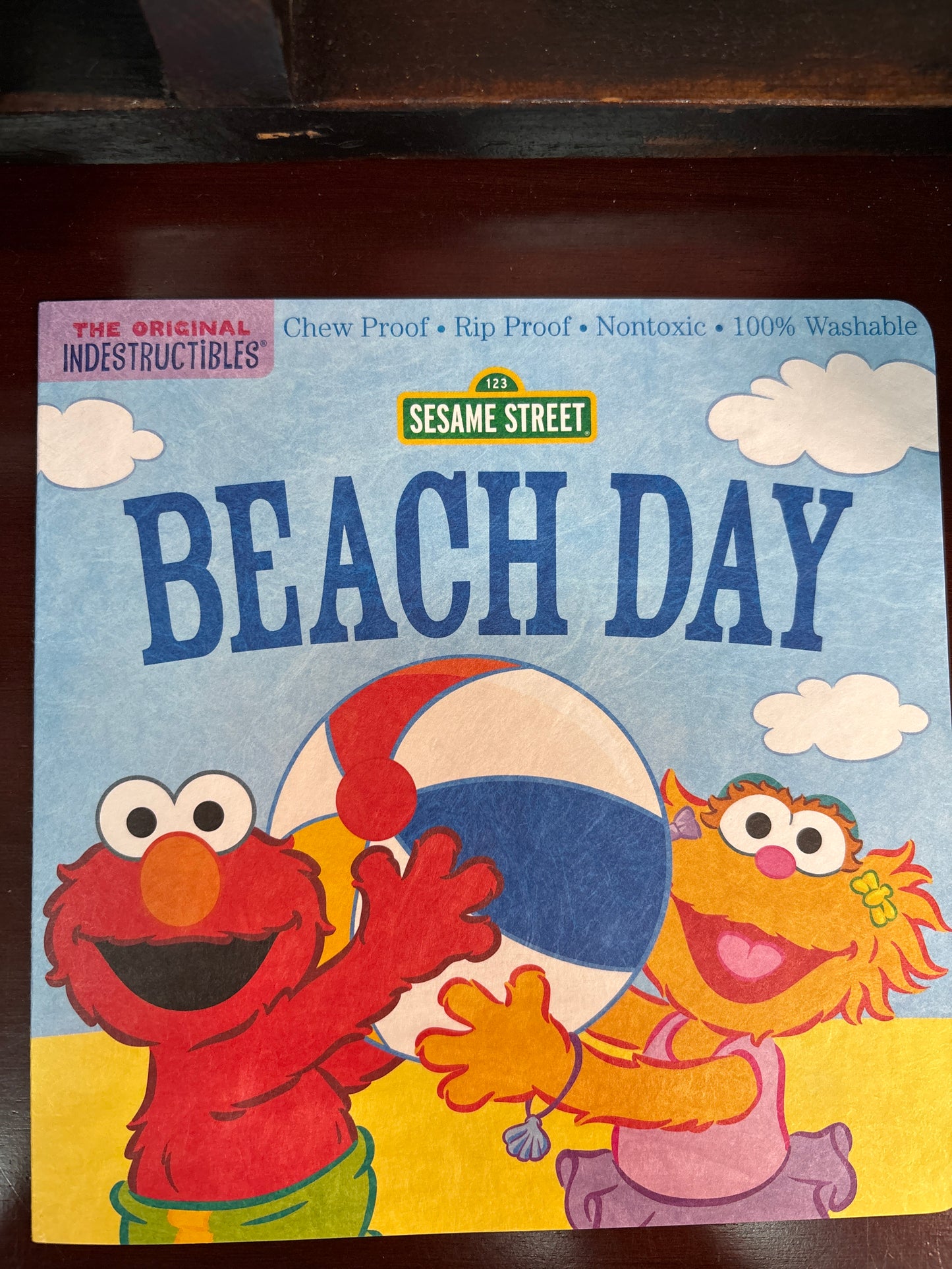 INDESTRUCTIBLES CHILDREN BOOK/BEACH DAY