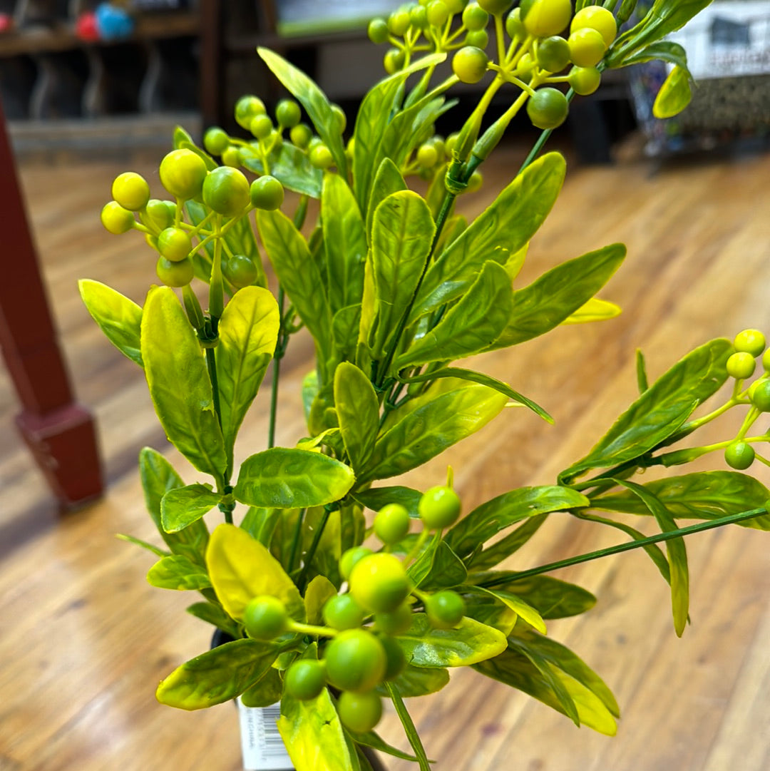 GREEN/YELLOW FILLER BUSH