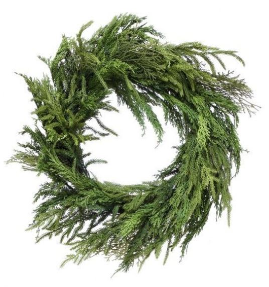 26" CYPRUS/NORFOLK PINE WREATH