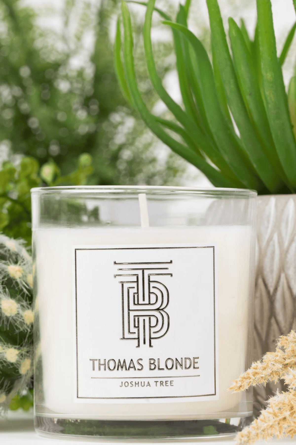 THOMAS BLONDE CANDLE-JOSHUA TREE-12 OZ