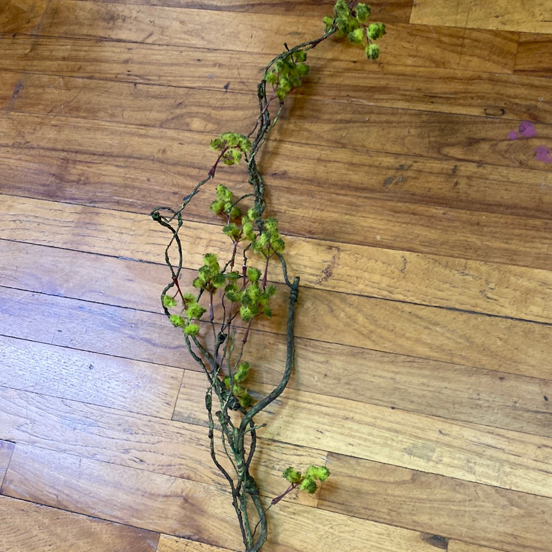 QUEEN ANNE LACE STEM