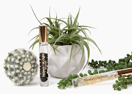 THOMAS BLONDE GRAB N GO PERFUME-BLONDE