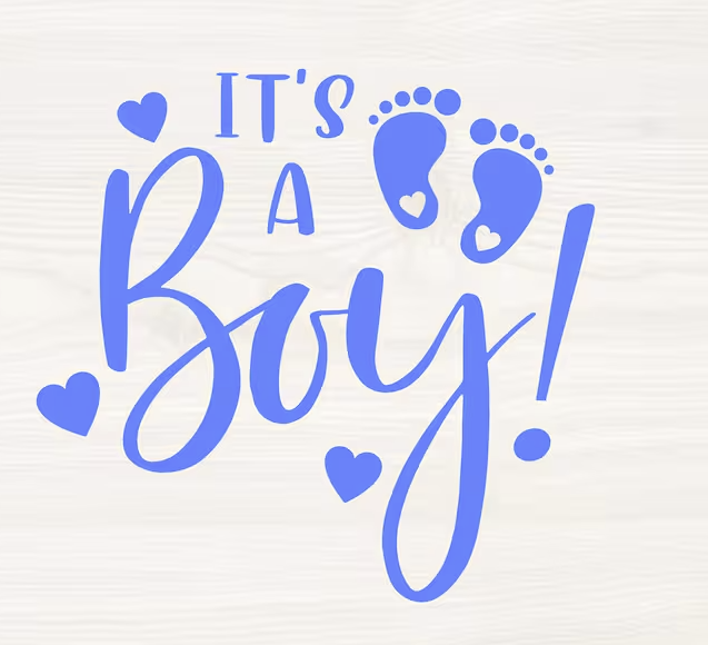 MASON & RILEY ROSS- BABY BOY