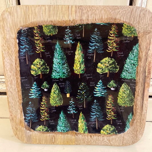 MANGO WOOD TRAY-SMALL W/TREES