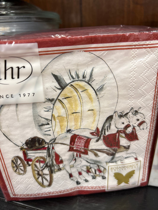10X10 NAPKINS SET OF 20- OU