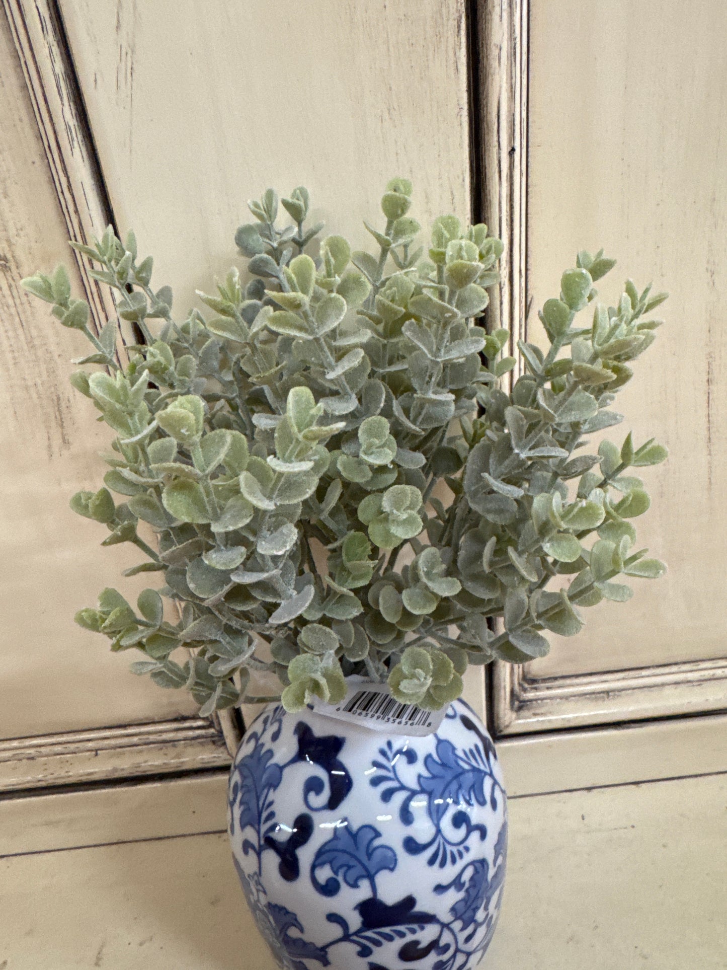 11' EUCALYPTUS  FROSTED BUSH PICK