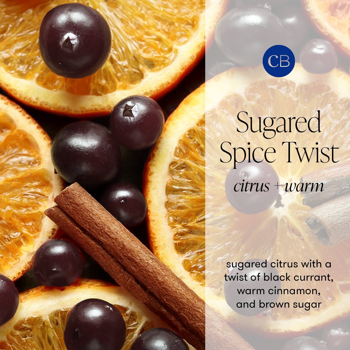 CAPRI BLUE SUGARED SPICE TWIST CANDLE-19 OZ