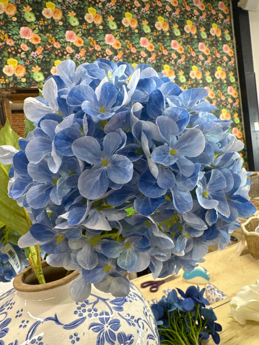 26' LT BLUE HYDRANGEA