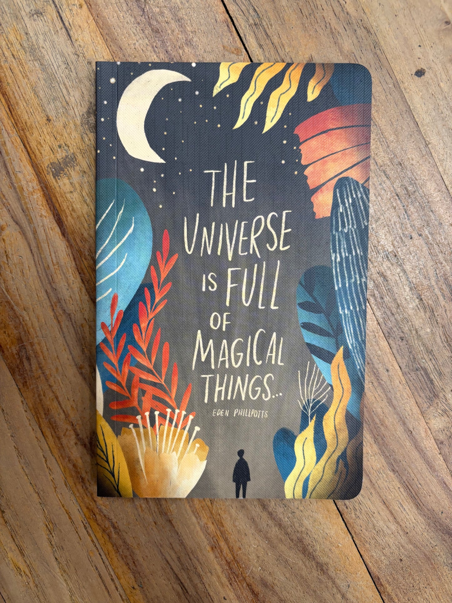 WRITE NOW-THE UNIVERSE IS FULL OF MAGICAL THINGS