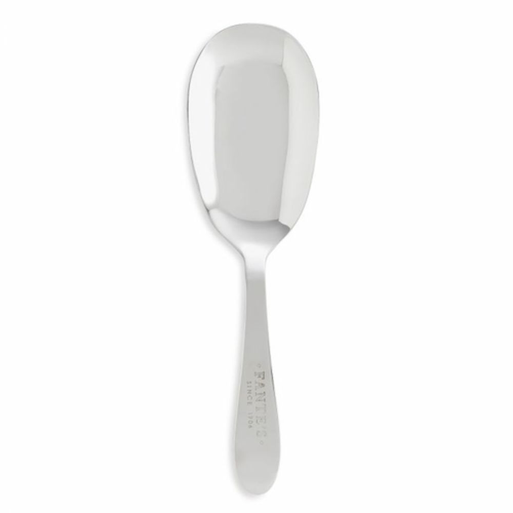 HIC PASTA SPOON-10" SS