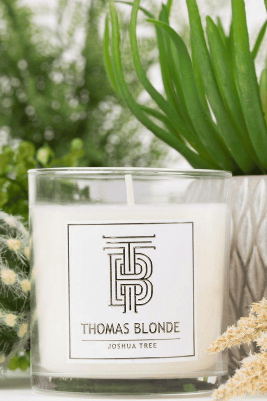 THOMAS BLONDE CANDLE-JOSHUA TREE-12 OZ