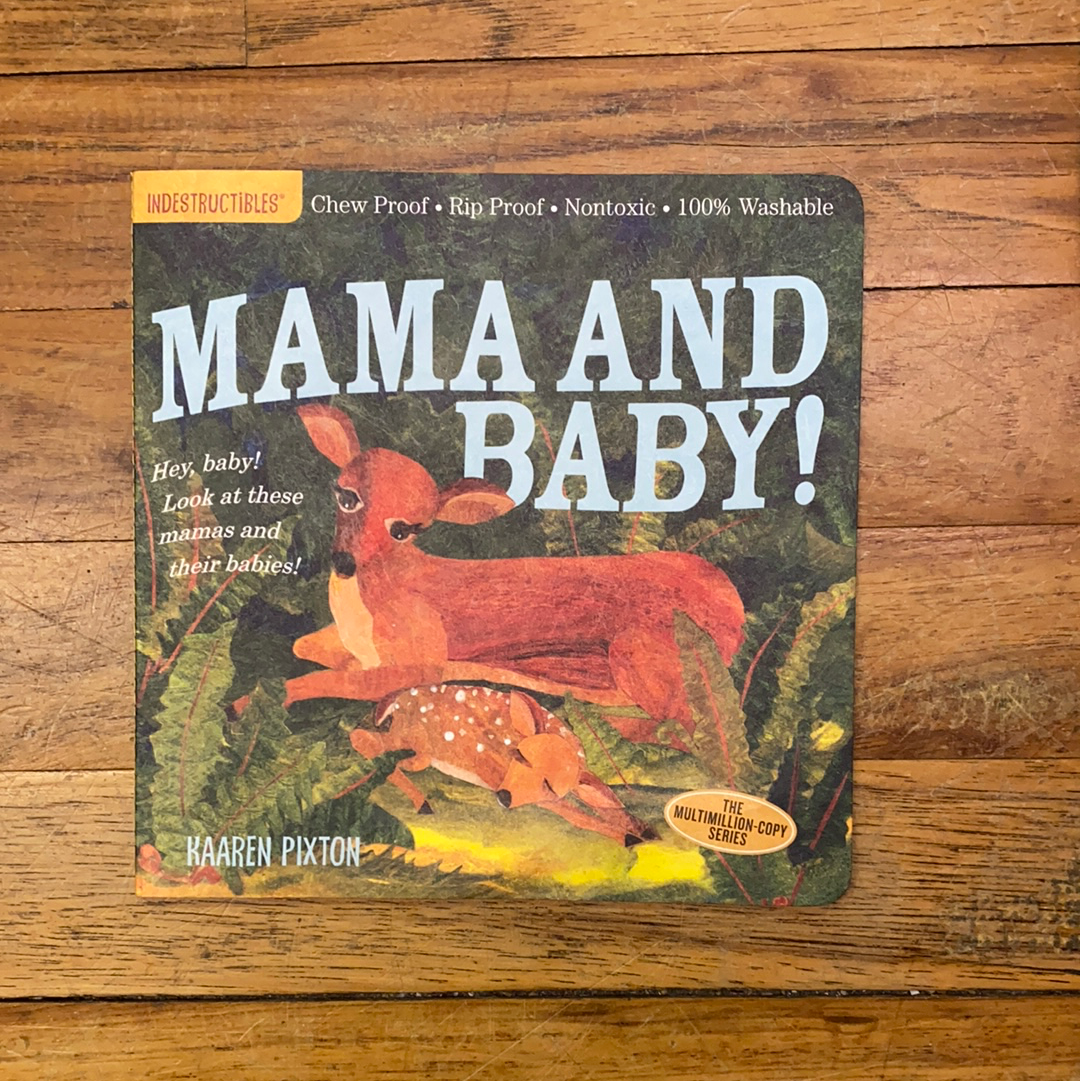 INDESTRUCTIBLES CHILDREN BOOK/MAMA & BABY