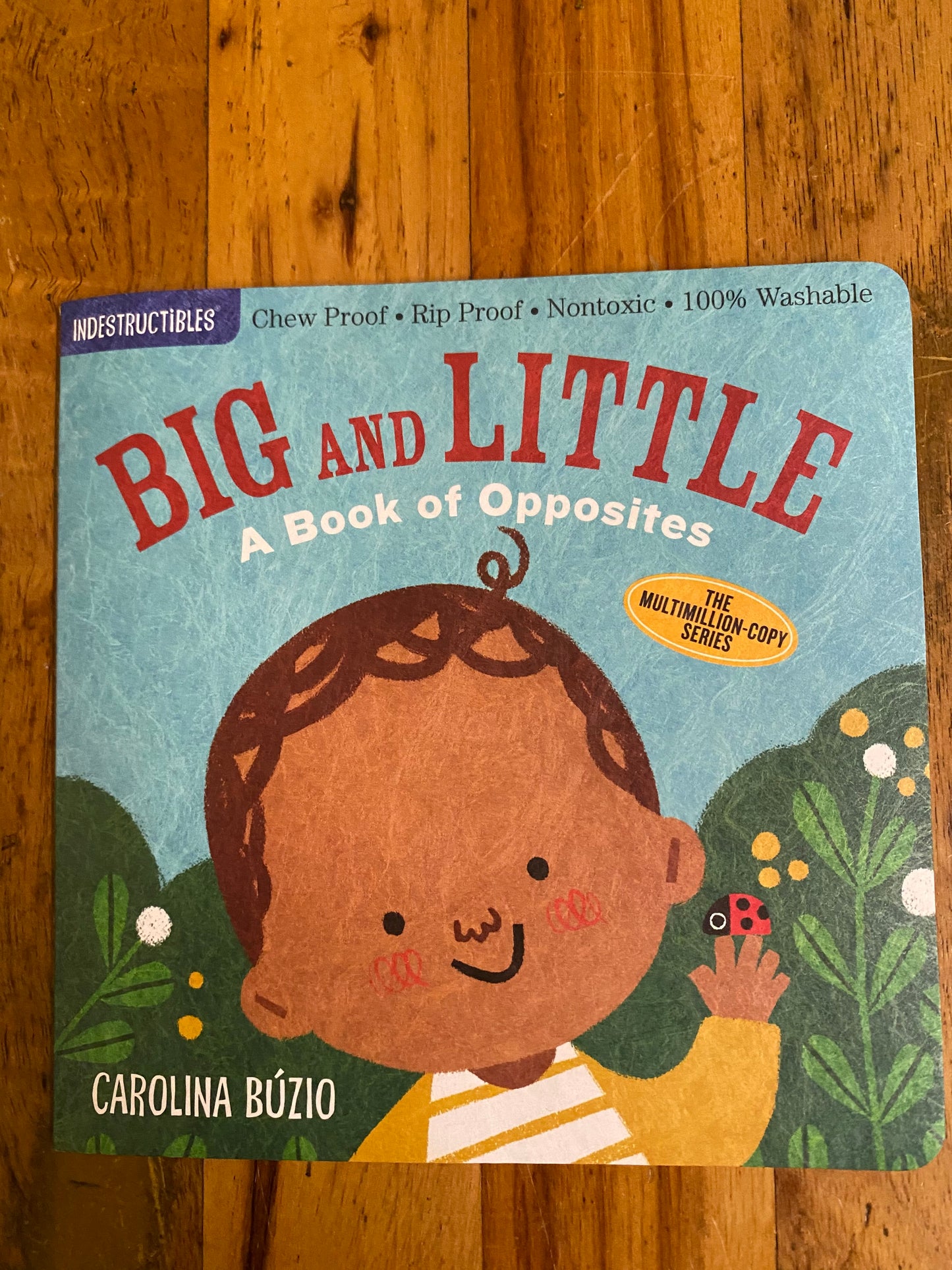 INDESTRUCTIBLES CHILDREN BOOK/BIG AND LITTLE