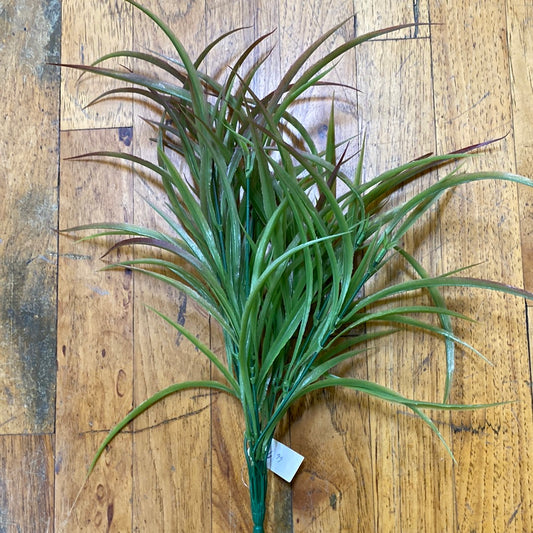 FALL GRASS PICK